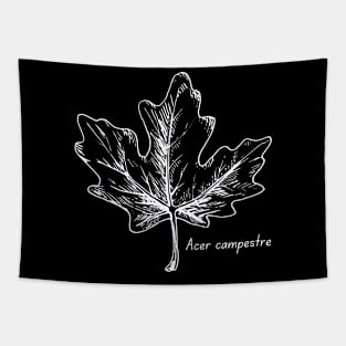 Field maple tree Tapestry