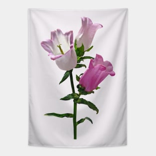 Pink Canterbury Bells Tapestry