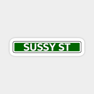 Sussy St Street Sign Magnet
