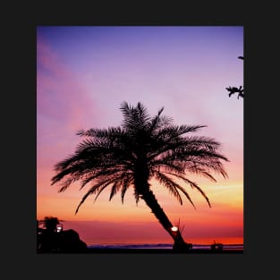 Palm tree under a clear sky T-Shirt