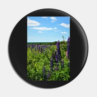 Lupins in the wild P.E.I. Pin