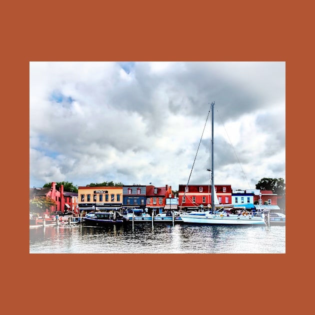 Annapolis MD - City Dock by SusanSavad