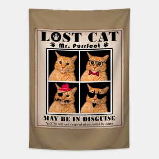 LOST CAT: Missing Mr. PURRfect Tapestry