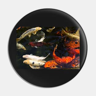 Serenity koi fish 1 Pin