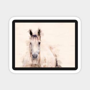 Horse Portrait Magnet