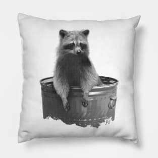 Trash Panda Pillow