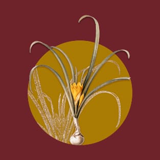 Vintage Yellow Autumn Crocus Botanical Illustration on Circle T-Shirt