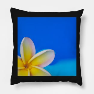 Plumeria Petals Pillow