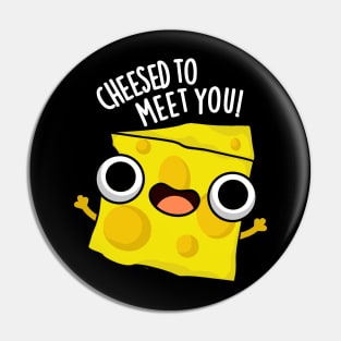 Cheese To Meet You Funny Food Puns Pin