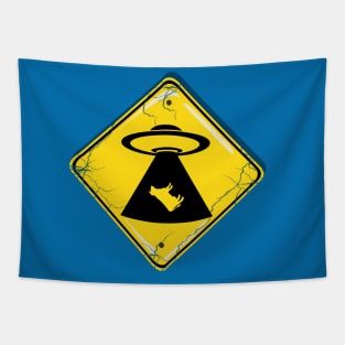 Cosmic Crossing: UFO Abduction Zone No 2 Tapestry