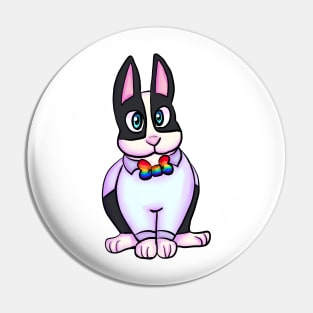 Dapper Dutch: Rainbow Pin