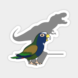 T-rex White capped Pionus Magnet