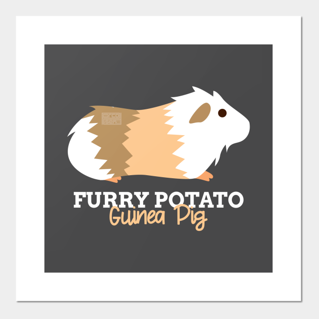 Funny Animal Name Meme Furry Potato GUINEA PIG - Funny Animal Meme -  Posters and Art Prints | TeePublic