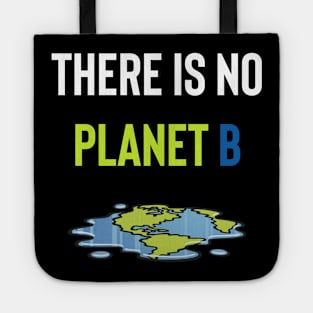 There Is No Planet B Tote