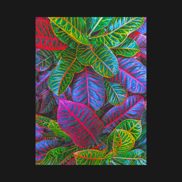 Stylized Crotons Plant by Rosemogo
