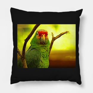 Portrait of a Parrot Pillow