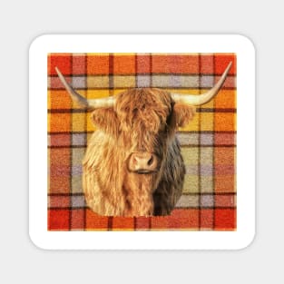 Tartan Highland Cow Magnet