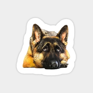 German Shepherd Looking Up Magnet