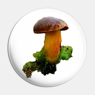 mushroom Pin