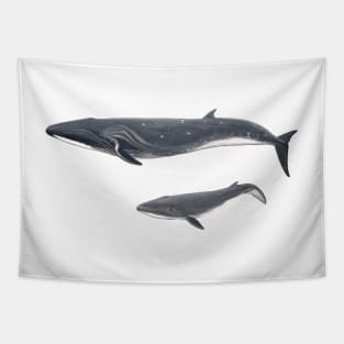 Sei whale Tapestry