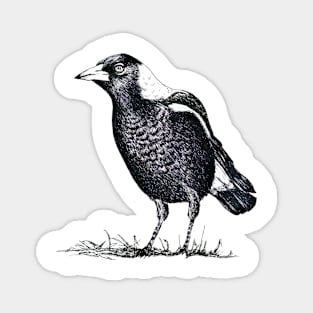 Magpie - Dedicated to family Magnet