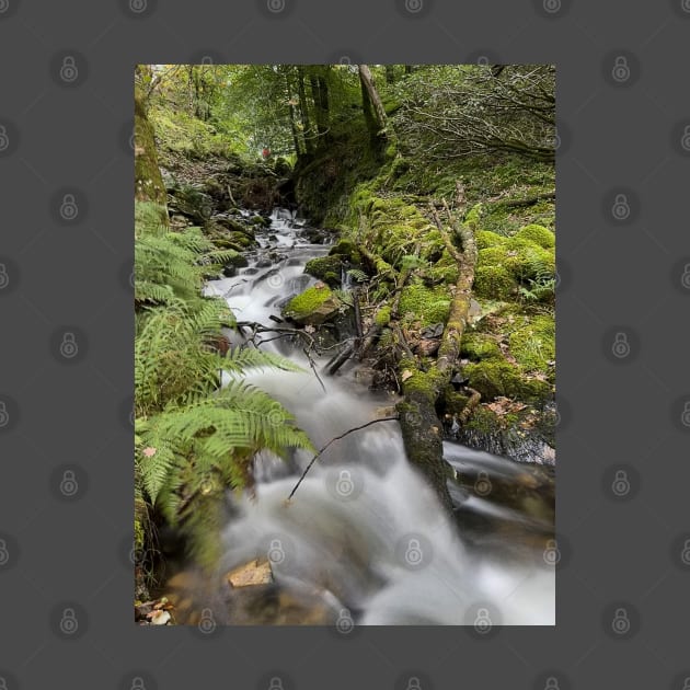 Lake District Waterfall by Graz-Photos