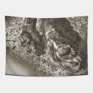 Dog paw Tapestry