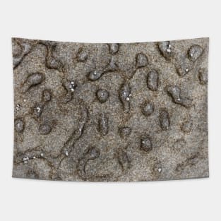 Spotted Volcanic Rock Formation Tapestry