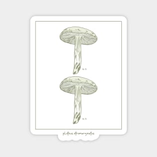 Minimalist Mushroom Magnet