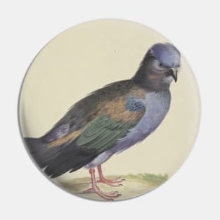 A Blue Dove with Green and Black Wings by Herman Henstenburgh Pin