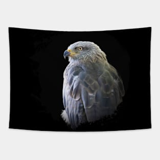 Kite Bird Animal Wildlife Forest Nature Free Flight Tapestry