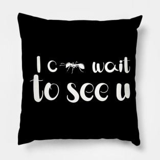 I can't wait to see you Pillow