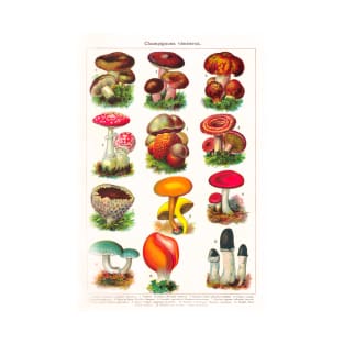 A variety of mushroom species T-Shirt