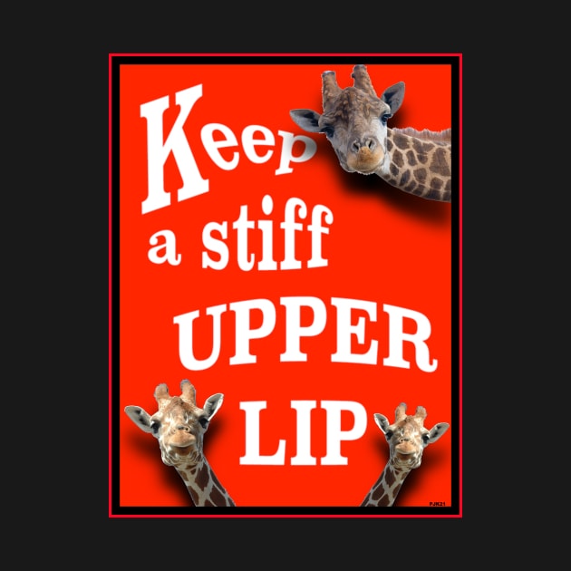 CHEER UP! FEEL BETTER! CARRY ON! KEEP CALM! by PETER J. KETCHUM ART SHOP