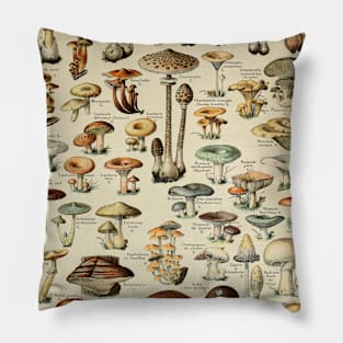 Mushrooms Vintage Botanical Illustration Pillow