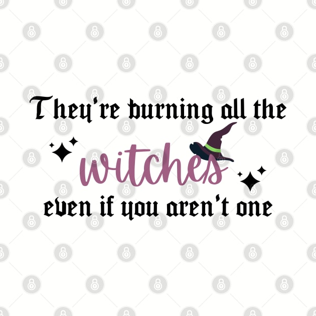 They're Burning All the Witches Taylor Swift by Mint-Rose