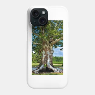 White Bark Tree Phone Case