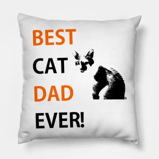 Best Cat Dad Ever Shirt, Cat Dad, Fathers Shirt, Personalized gift For Dad or Papa, for Father's Day Pillow