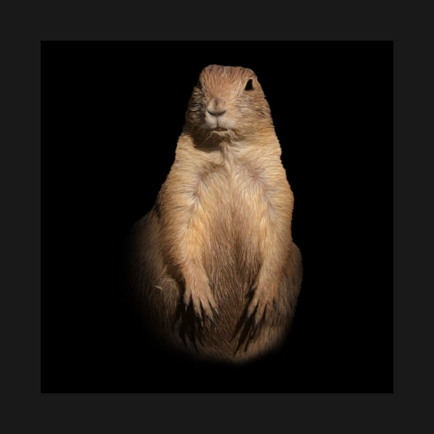 Prairie dog by Guardi