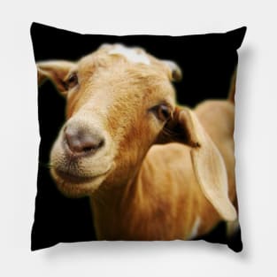 The Scapegoat Will Always Escape Pillow