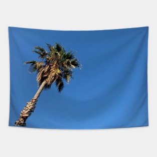 Palm Blue Sky Summer Tapestry