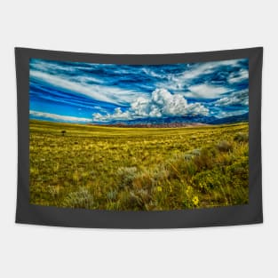 Great Sand Dunes National Park Tapestry