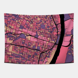 St. Louis Map Pattern in Purple & Pink Tapestry