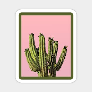 Cactus Magnet