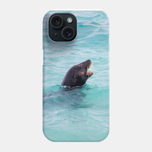 Sea Lion Swimming in Crystal Clear Blue Water Phone Case by SafariByMarisa