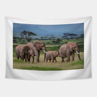 Amboseli National Park Tapestry