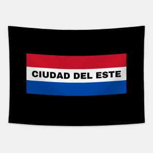 Ciudad del Este in Paraguay Flag Colors Tapestry