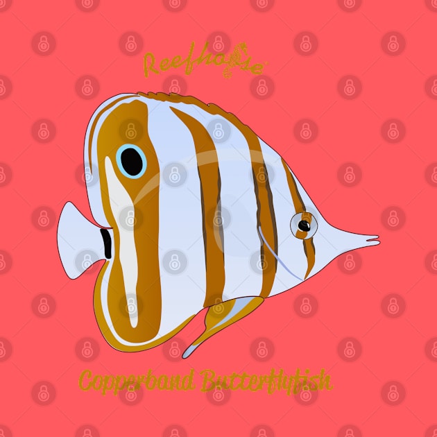 Copperband Butterflyfish by Reefhorse