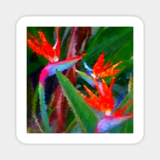 Bird of Paradise Family Abstract Magnet