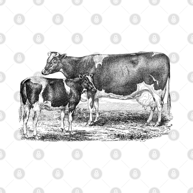 Cow with Calf Black and White Illustration by Biophilia